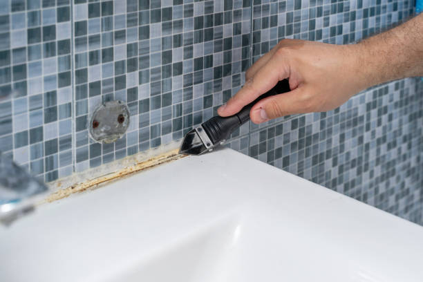 Best Black Mold Remediation in Greenfield, IN